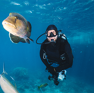 diving hurghada